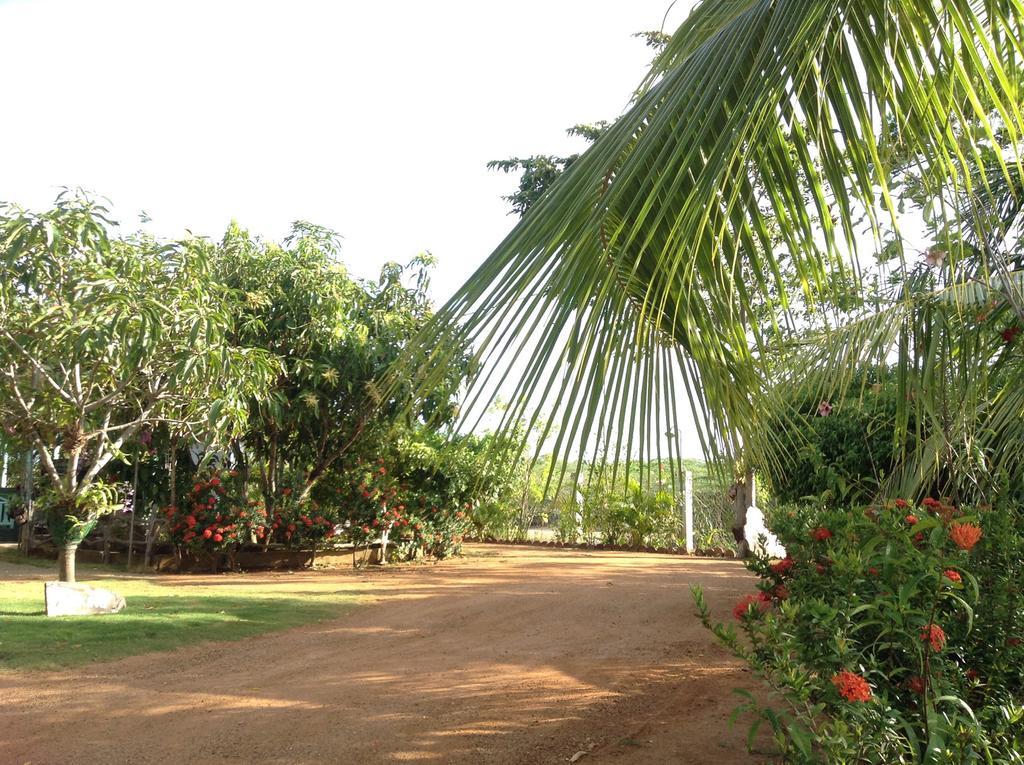 Lagoon Inn ฮัมบานโตตา ภายนอก รูปภาพ